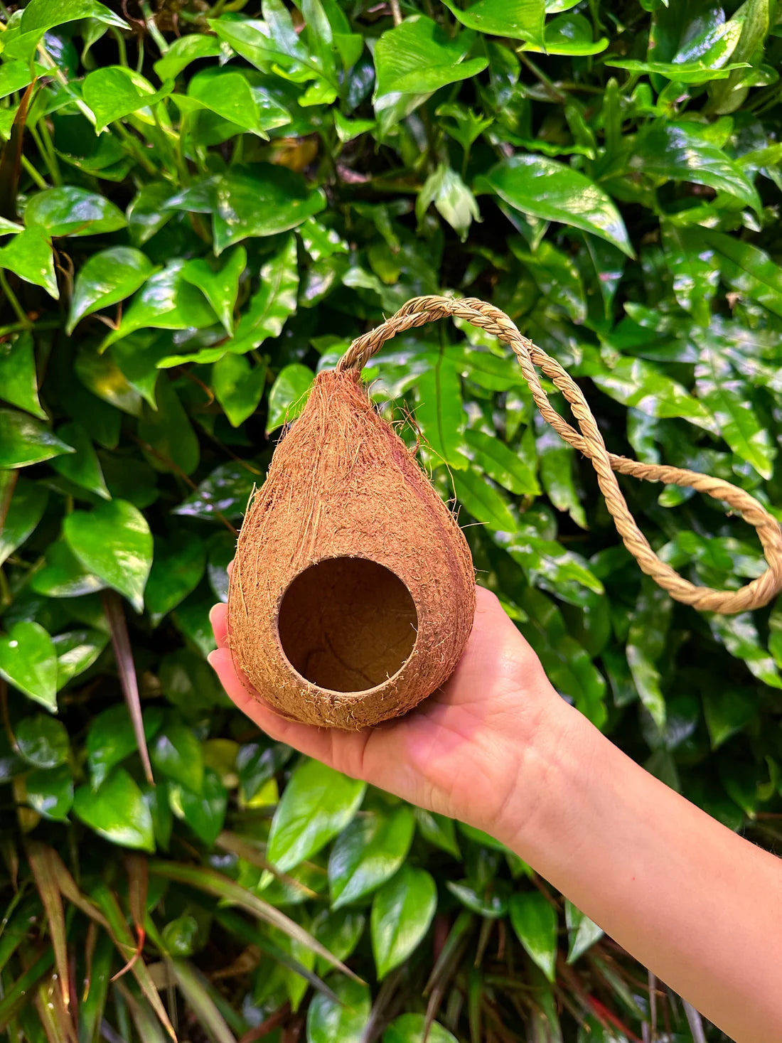 Refugio Colgante en Forma de Gota para Aves, Roedores y Pequeños Animales de Terrario Nidos