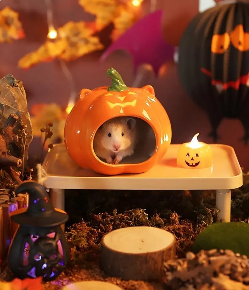 Refugio Decorativo en Forma de Calabaza Refrescante para Hámsters, Cobayas y Pequeños Reptiles